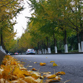 ����·�����ӻ���