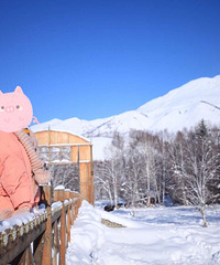 ���¿���