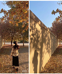 92������ ��ߣè������ ��׳����