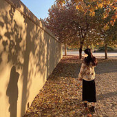 92��������׳����