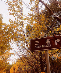 ÿ�궼Ҫ����������ò�����Ͻ���