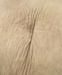 ���꺢��֮�� û�뵽��Ƥ������Ƥһ����