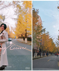 ����6�����������·