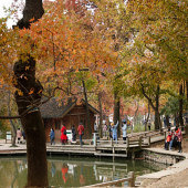 �����е���ƽɽ