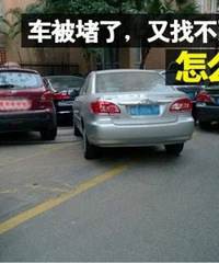 ��F*213K ��F*077H��Ϊʲô�����Ƴ�