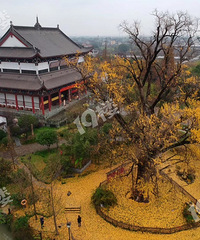 ��˵������������������ û��������ɣ�