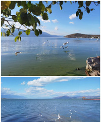 94��з���� ���㿴����