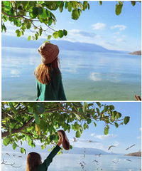 94��з���� ���㿴����