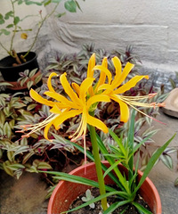 ����ӿ��꡿92������ ���ο��� ϲ���ֻ�