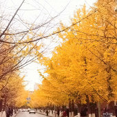 ��������·����