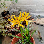 92���ӿ��ο����ֻ�