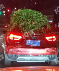 �ֵܣ�����ô���Ż���������ñ�ӡ���