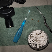 5��û�ڶ�ʺ������