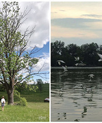 �о����������߳������� ��ó�����