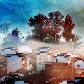 �ɾ�������ȥһ��