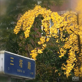 ���������·����