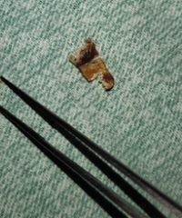 5����Ӵ�û���͹���ʺ Ӳ����ˮ��