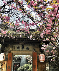 ���ʦ�����Ҷ��� �ܹ�ȫ������ֻΪ������