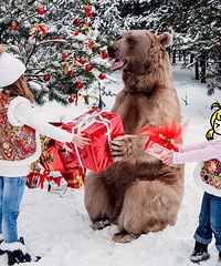 ƽ��ҹ����ѽ������ʥ�����ļ��ĵ�ѽ�����������ü���