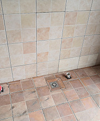 ��ѵ�ש���������� ����˵����