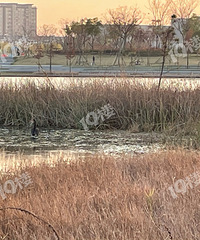 �����Ȼ�к���죡��˵�ǰ��������ģ�