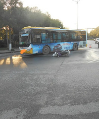 û��ײ���綯���г�Ϊ��Ҫ��ȫ��ֻ�����������������