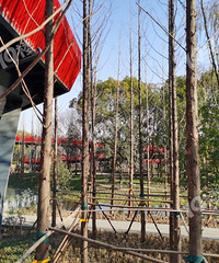 �����̵������£�Ŀǰ�߹���õ��̵���