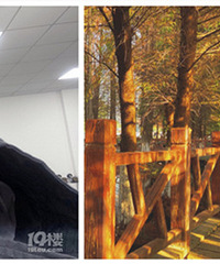 94С���183 ϲ�����ʵ�Ů�� ���ܽ����