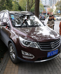 ����� ��������ͣ����