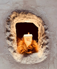 ����צ����