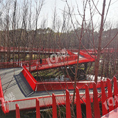 �����߹���õ��̵���