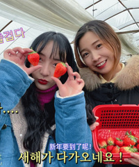 ȥ��ݮ��ժ԰��ժ�߳ԣ��ִ��ֺ�����