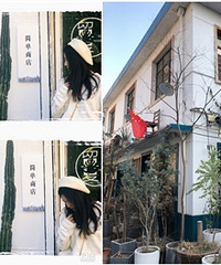 ��������С������ֲ��Ʒ�� �������ʺ�����