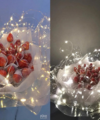 �ر��������ֱ���������Ĳ�ݮ����