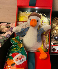 �յ�����˹��ڹ���֧�����װ�Ͷ�������Ѽ