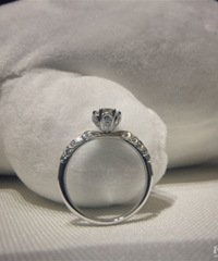 �����������Ļ�ɴ���������