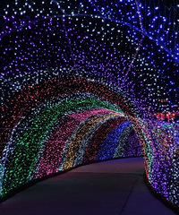 �����廨��չ