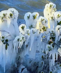 С�����㿴��ҵ�������