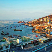 ��轵�ħ�ð�ľ�ɫ