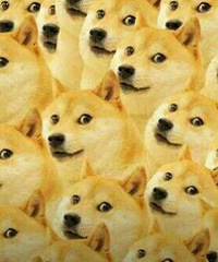 ������Ⱥ���ж����ҿ��ԣ�ȫ������������