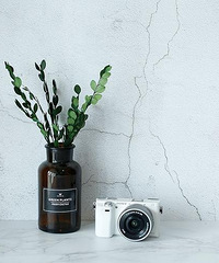 ������Ը�⻨����Ǯ��һ��д���أ�1ǧ8ֻ��16�ž��������