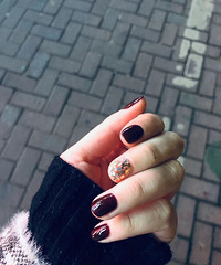 ����ϲ�������� �����Ļؼҹ���