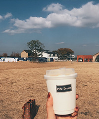 ��ĩ��ȥ�����ղ������