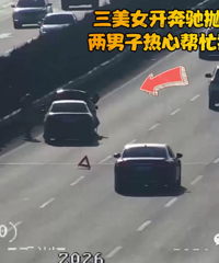 ����Ů��������ê������������ʩ�ȣ�����ȴΪ�ε�������ը��