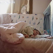 Ӥ����ֻ˯��һ����