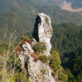 ���ǻ���̽��