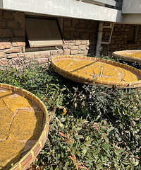 �²�����ʲô��