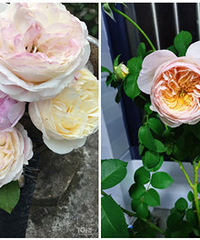 ��ͼ��19¥���Ѷ������㿴�ʻ�