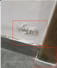 建议避开嘉兴XX装修公司 装修未入住就已经各处发霉!