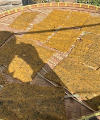 ���Ÿ������ĺ����ɣ����ڻ�����û������